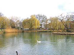 Barnes Pond